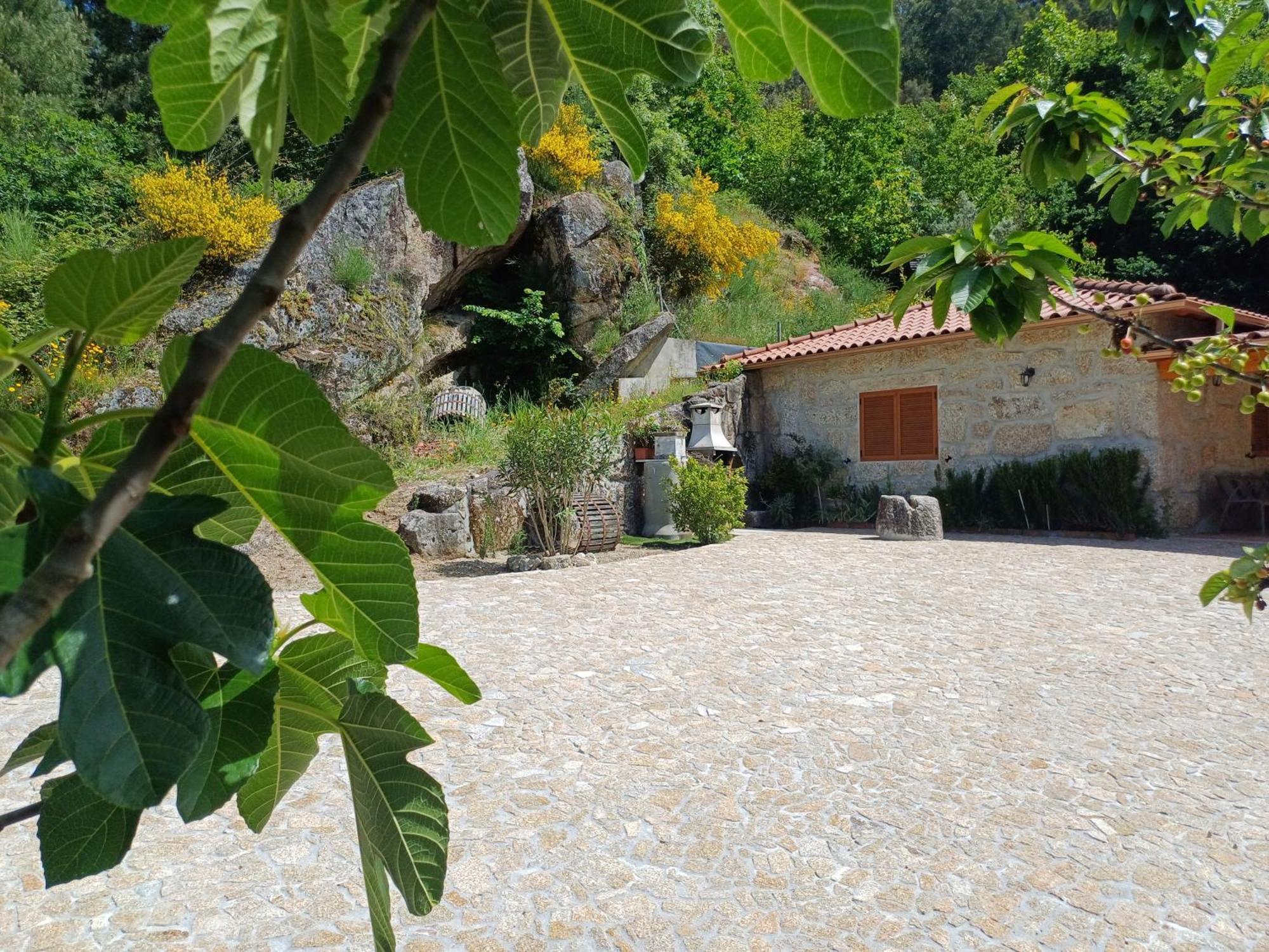 הוילה Gandarela de Basto Casa Da Fragoeira מראה חיצוני תמונה